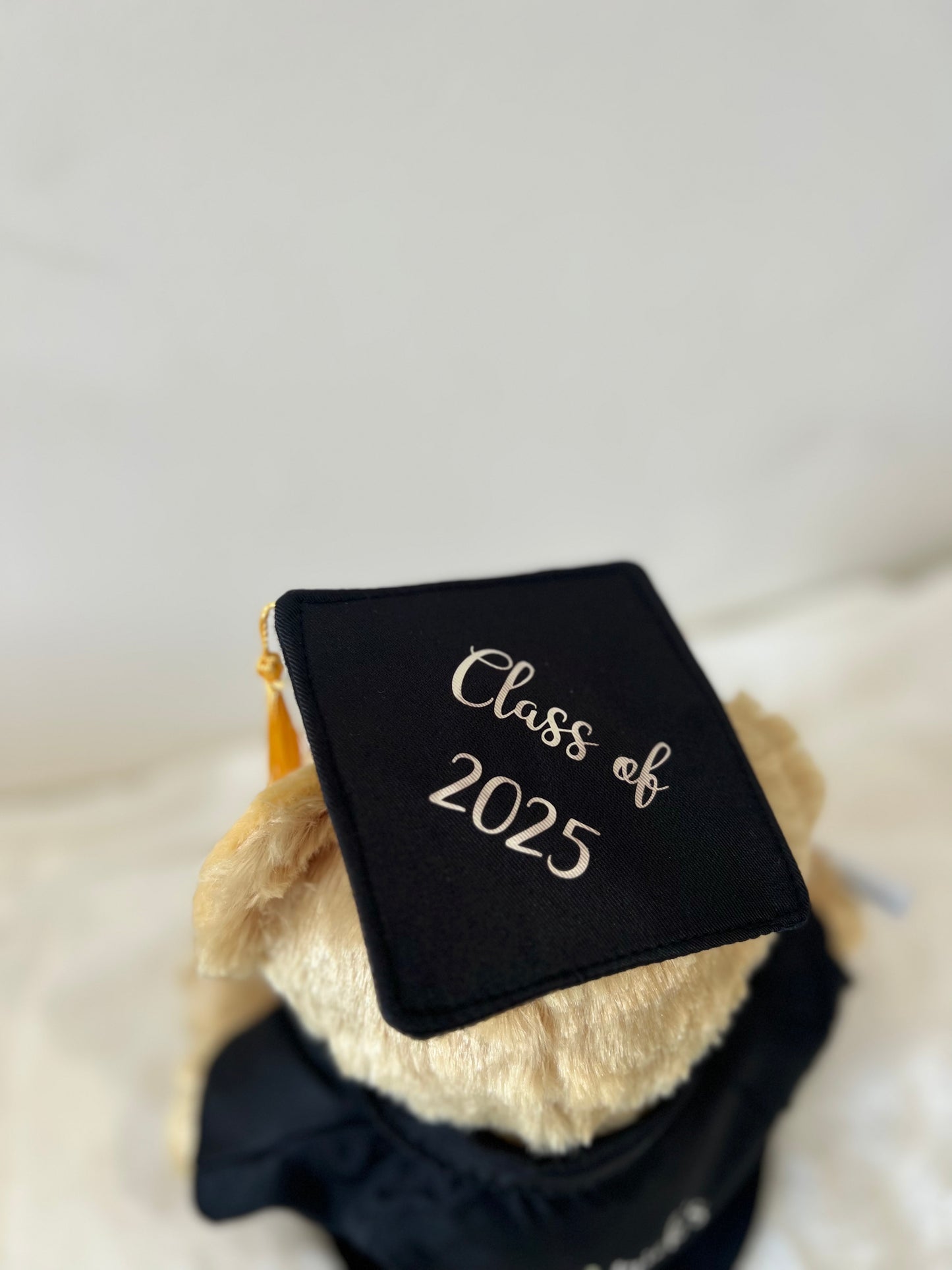 Personalised Graduation Teddy Bear